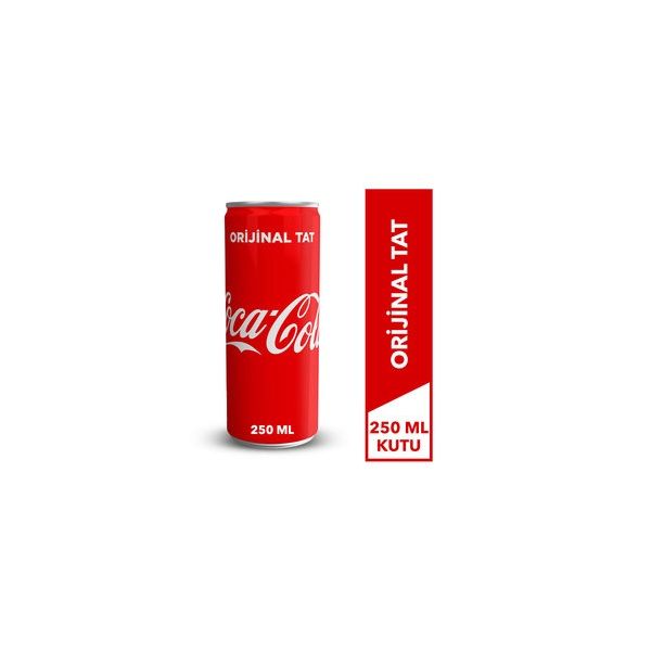 Coca Cola 250ML Kutu