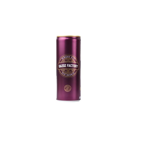 Gazoz Factory Ginger Ale 200ML*24