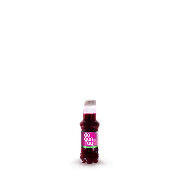 Doganay Salgam Suyu 300ml