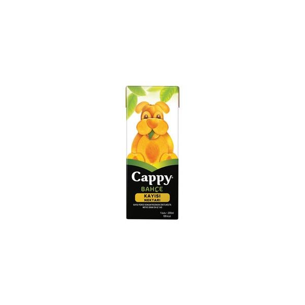Cappy Apricot Juice 200ML