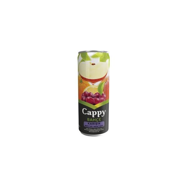 Cappy Mix Fruit 330ml